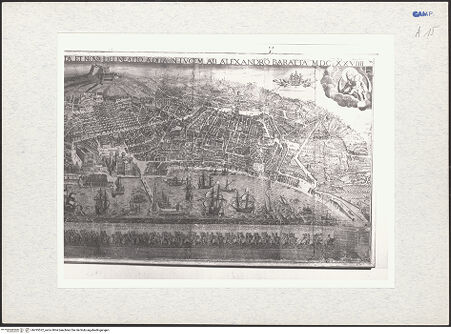 Vorderseite von bh295522_recto