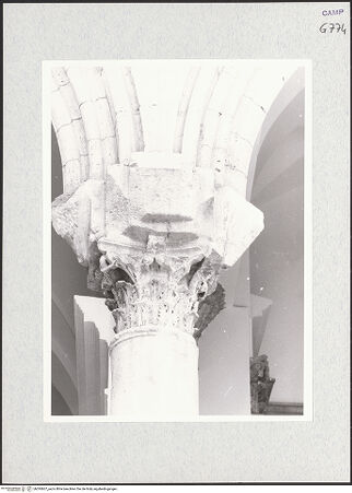 Vorderseite von Krüger, Jürgen [https://www.deutsche-digitale-bibliothek.de/content/lizenzen/rv-fz/] Kapitelle der Nordarkade - Kapitell und Säule (1. Säule), bh295607_recto. Foto: Krüger, Jürgen.