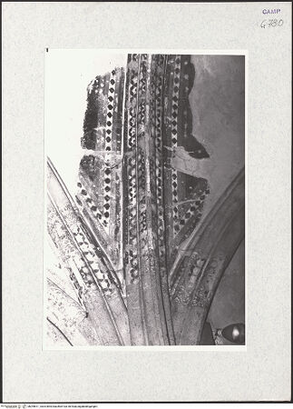 Vorderseite von Krüger, Jürgen [https://www.deutsche-digitale-bibliothek.de/content/lizenzen/rv-fz/] San Lorenzo MaggioreErste Südkapelle - Detail des Gewölbes, bh295611_recto. Foto: Krüger, Jürgen.