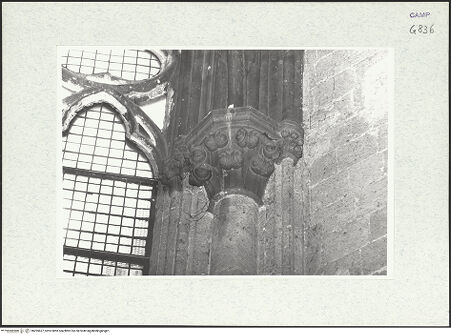 Vorderseite von Krüger, Jürgen [https://www.deutsche-digitale-bibliothek.de/content/lizenzen/rv-fz/] San Lorenzo MaggioreDritte Südkapelle - Kapitell, bh295627_recto. Foto: Krüger, Jürgen.