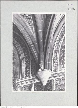 Vorderseite von Krüger, Jürgen [https://www.deutsche-digitale-bibliothek.de/content/lizenzen/rv-fz/] San Lorenzo Maggiore, Convento - Innenraum, Detail eines Gewölbes, bh295721_recto. Foto: Krüger, Jürgen.