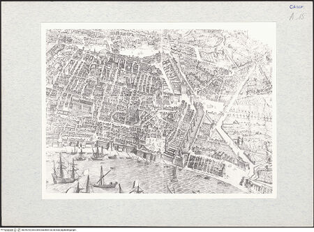 Vorderseite von bh295744_recto