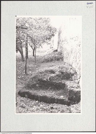 Vorderseite von Krüger, Jürgen [https://www.deutsche-digitale-bibliothek.de/content/lizenzen/rv-fz/] Santa Maria di Realvalle - Treppe, bh295770_recto. Foto: Krüger, Jürgen.