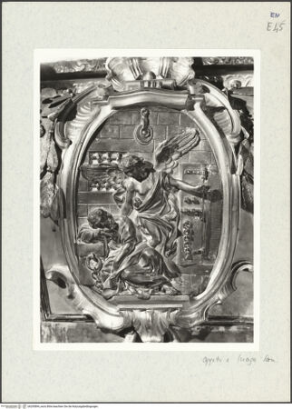 Vorderseite von bh295894_recto