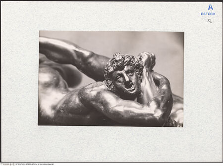 Vorderseite von bh296007_recto