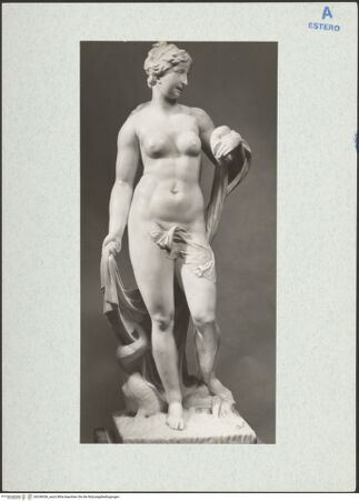 Vorderseite von bh296036_recto