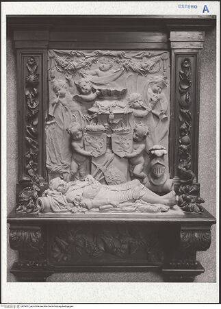 Vorderseite von bh296037_recto