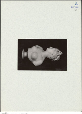 Vorderseite von bh296041_recto