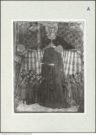 Vorderseite von bh296140_recto