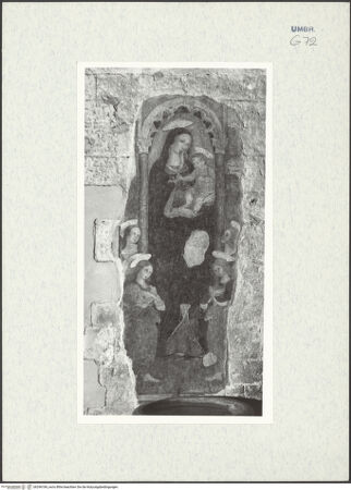 Vorderseite von bh296184_recto