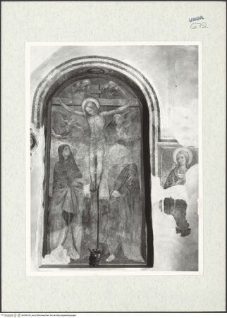 Vorderseite von bh296185_recto