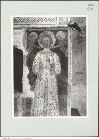 Vorderseite von bh296235_recto