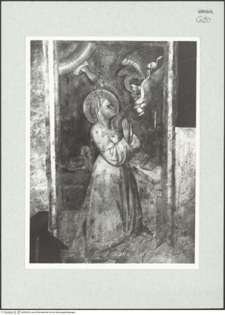 Vorderseite von bh296236_recto