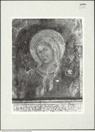 Vorderseite von bh296246_recto