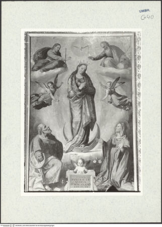 Vorderseite von bh296282_recto