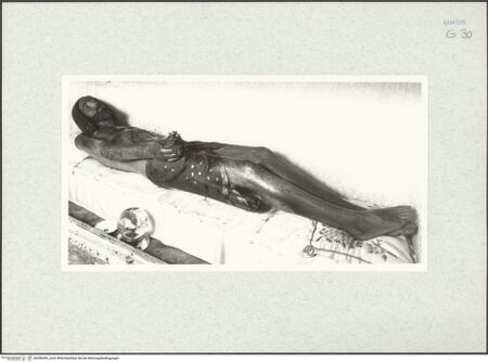 Vorderseite von bh296290_recto