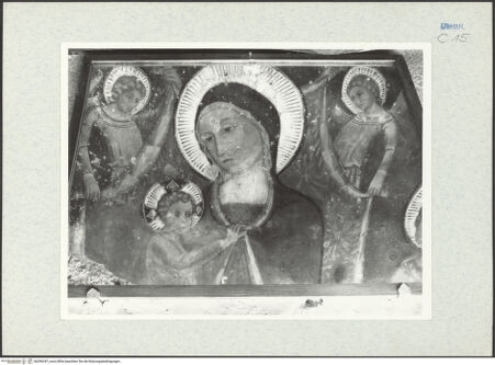 Vorderseite von bh296347_recto