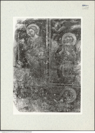 Vorderseite von Getty Research Institute [https://www.deutsche-digitale-bibliothek.de/content/lizenzen/rv-ez/] Noli me tangere; seliger Ventura im Gebet; Tod des seligen Ventura - Teilansicht, bh296442_recto. Foto: Hutzel, Max.