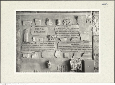 Vorderseite von bh296491_recto