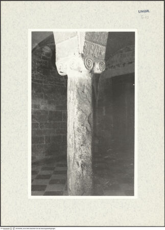 Vorderseite von bh296496_recto