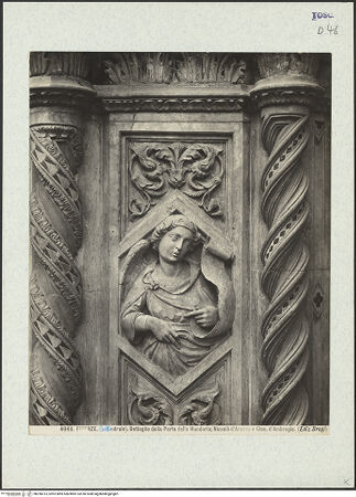 Vorderseite von bh296513_recto