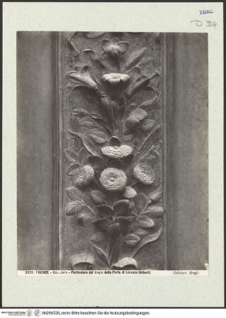 Vorderseite von bh296520_recto