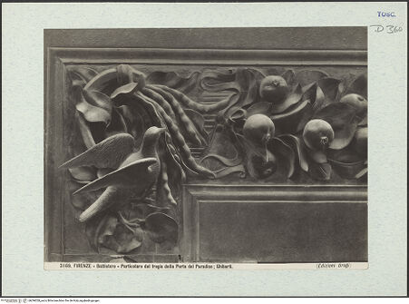 Vorderseite von bh296528_recto