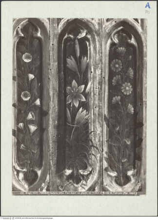 Vorderseite von bh296548_recto