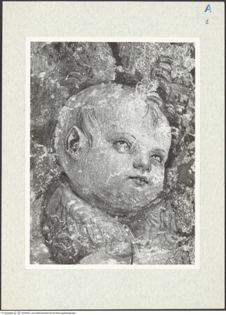 Vorderseite von bh296661_recto