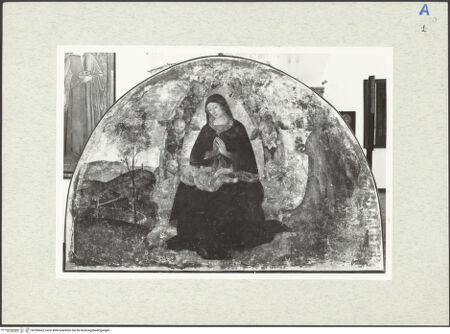 Vorderseite von bh296663_recto