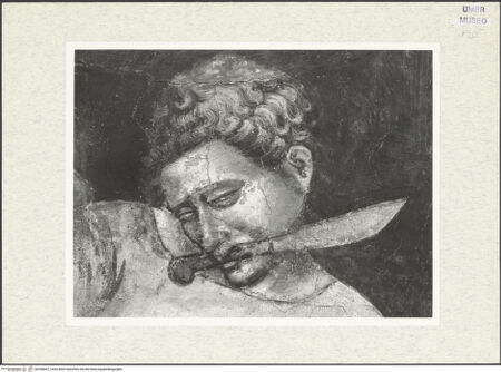 Vorderseite von bh296667_recto