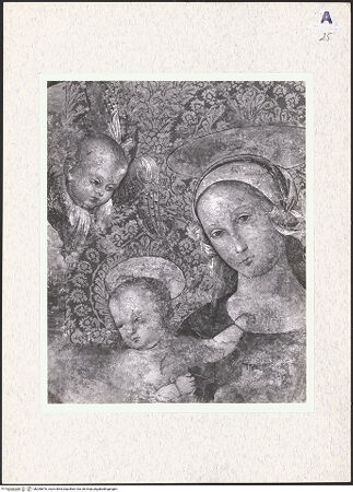 Vorderseite von bh296676_recto