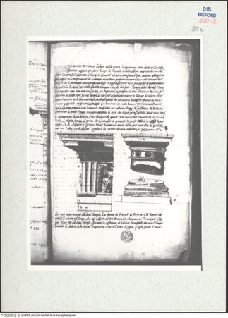 Vorderseite von bh296836_recto