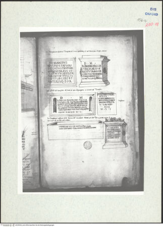 Vorderseite von bh296926_recto