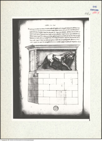 Vorderseite von bh296953_recto