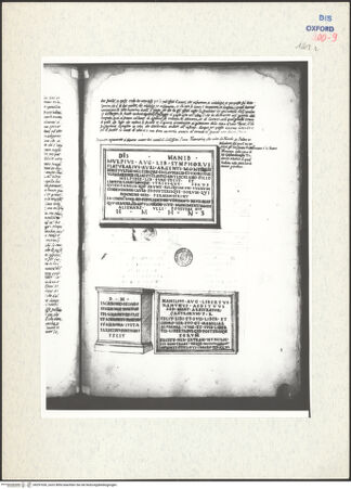 Vorderseite von bh297036_recto