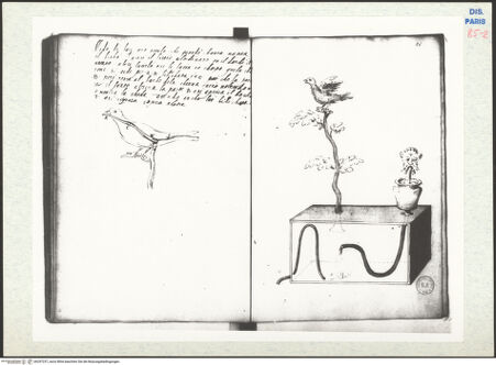 Vorderseite von bh297237_recto