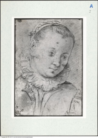 Vorderseite von bh297377_recto