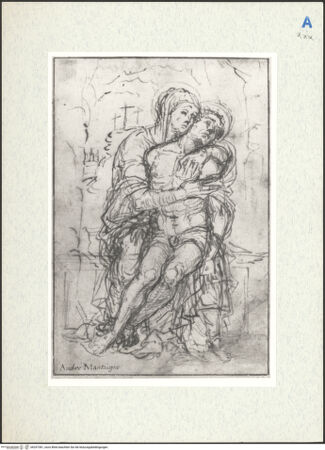 Vorderseite von bh297381_recto