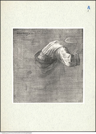 Vorderseite von bh297382_recto