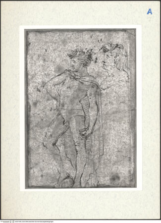 Vorderseite von bh297383_recto