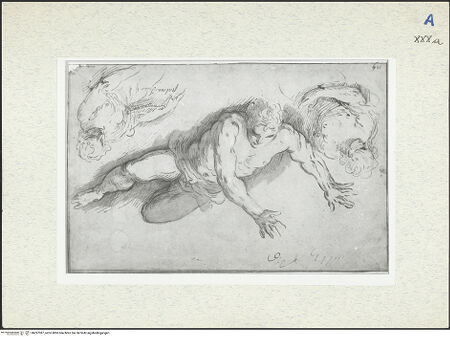 Vorderseite von bh297387_recto