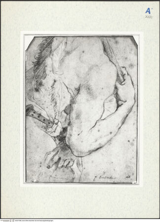 Vorderseite von bh297388_recto