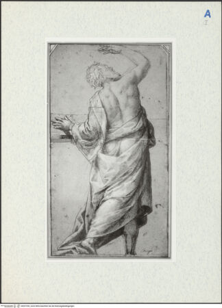 Vorderseite von bh297392_recto