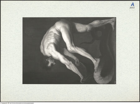 Vorderseite von bh297444_recto