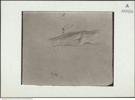 Vorderseite von bh297502_recto