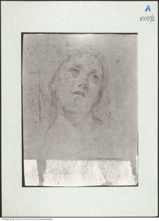 Vorderseite von bh297507_recto