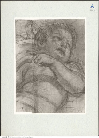 Vorderseite von bh297508_recto