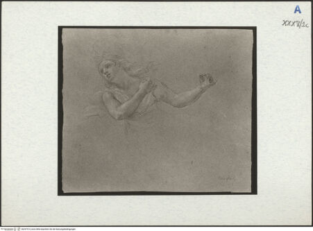 Vorderseite von bh297514_recto