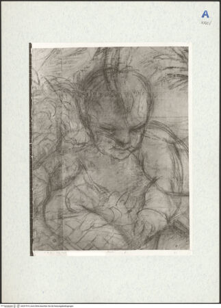 Vorderseite von bh297519_recto